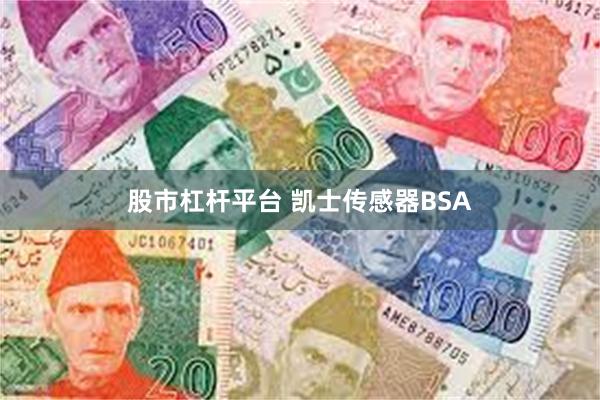 股市杠杆平台 凯士传感器BSA