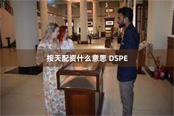 按天配资什么意思 DSPE