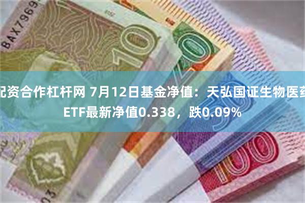 配资合作杠杆网 7月12日基金净值：天弘国证生物医药ETF最新净值0.338，跌0.09%