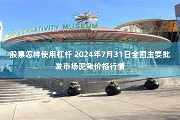 股票怎样使用杠杆 2024年7月31日全国主要批发市场泥鳅价格行情