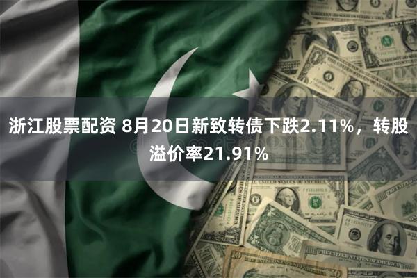 浙江股票配资 8月20日新致转债下跌2.11%，转股溢价率21.91%